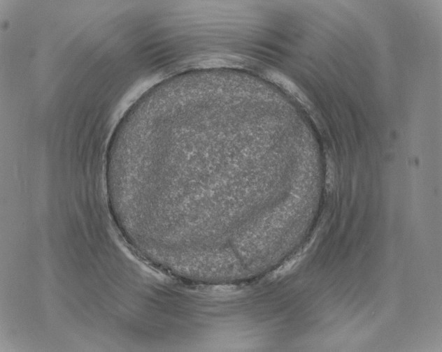 X0000076060986200610152158