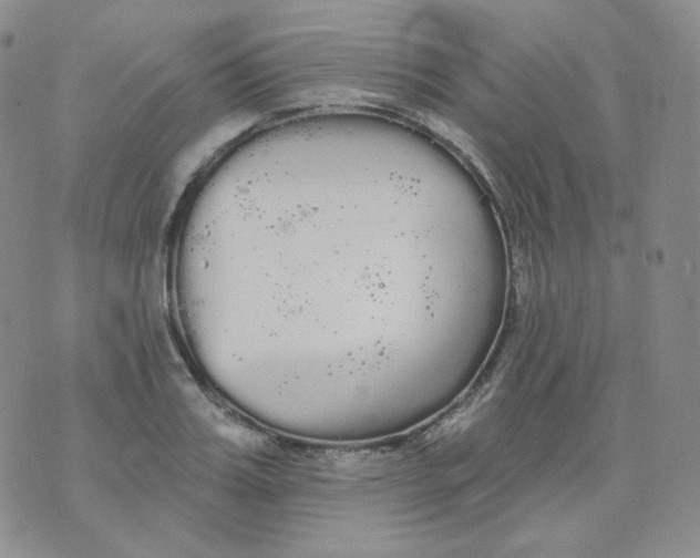 X0000076060987200610152158