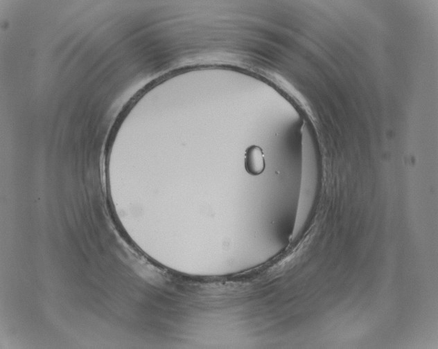 X0000076060988200610152158