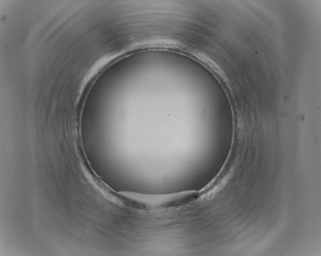 X0000076060989200610152158