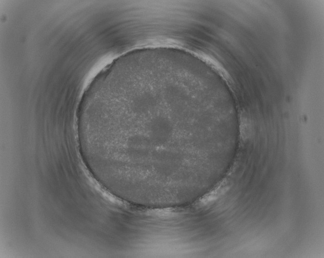 X0000076060990200610152158