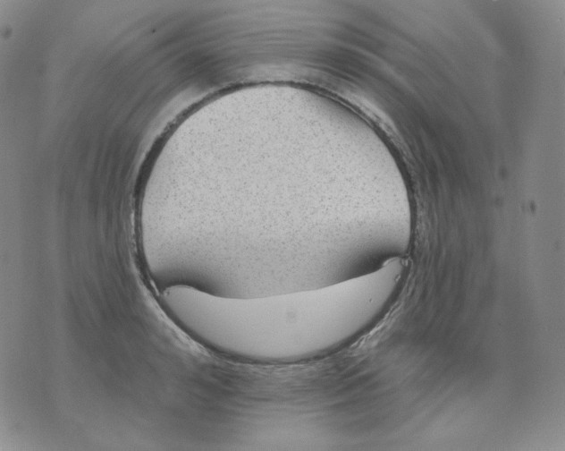 X0000076060992200610152158