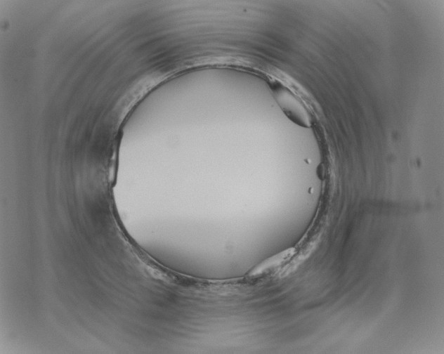 X0000076060993200610152158