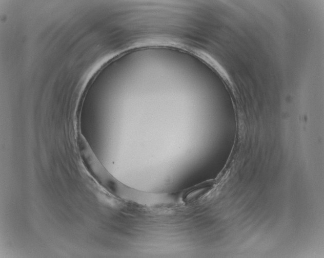 X0000076060996200610152158