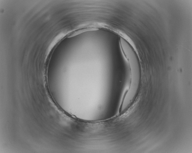 X0000076060997200610152158