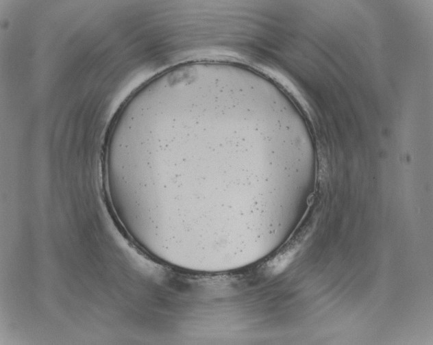 X0000076060999200610152158