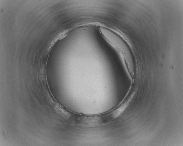 X0000076061001200610152158