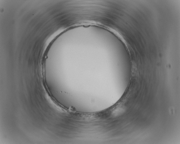 X0000076061003200610152158