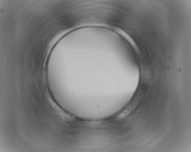 X0000076061004200610152158