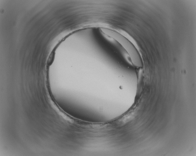 X0000076061005200610152158