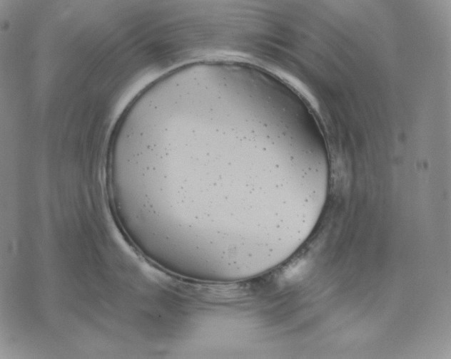 X0000076061007200610152158