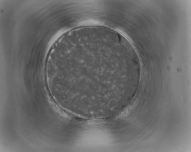 X0000076061008200610152158