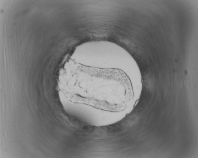 X0000076061009200610152157