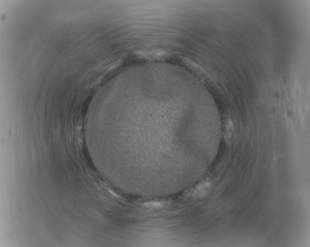 X0000076061010200610152157