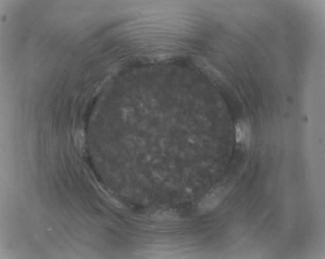 X0000076061011200610152157