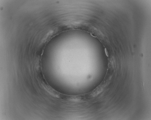 X0000076061012200610152157