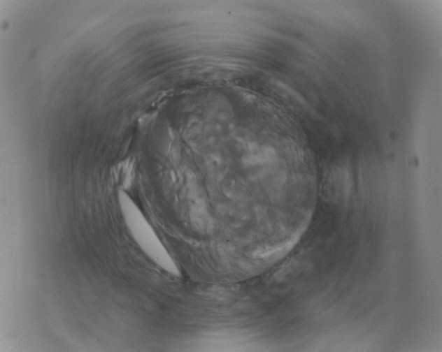 X0000076061013200610152157