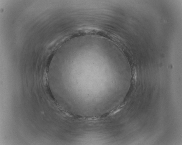 X0000076061014200610152157