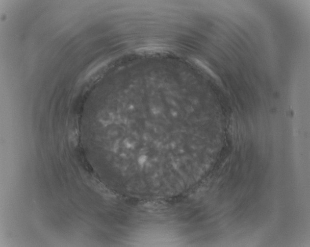 X0000076061015200610152157