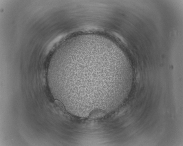 X0000076061016200610152157