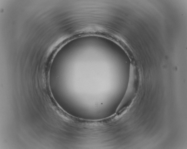 X0000076061018200610152157