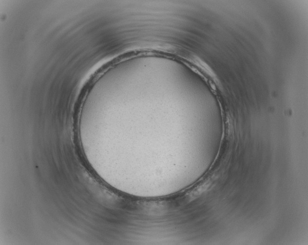 X0000076061020200610152157