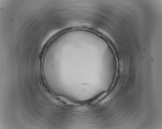 X0000076061021200610152157