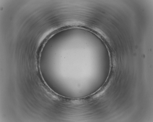 X0000076061022200610152157