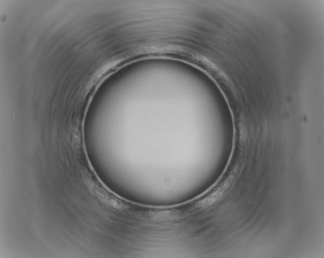 X0000076061025200610152157