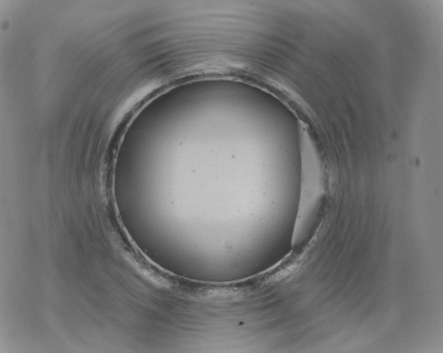 X0000076061026200610152157