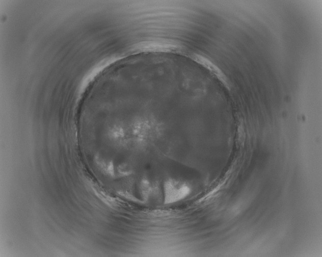 X0000076061027200610152157