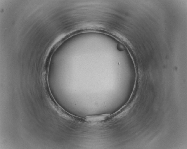 X0000076061029200610152157