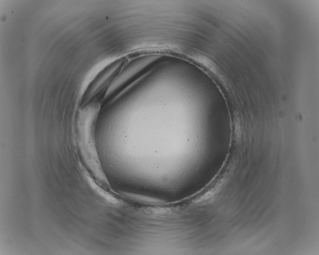 X0000076061030200610152157