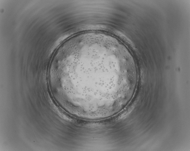 X0000076061033200610152157