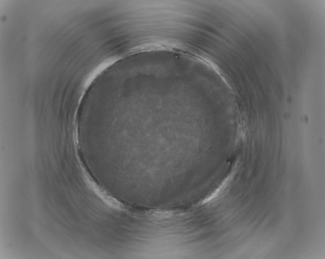 X0000076061034200610152157