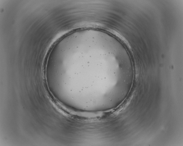 X0000076061037200610152157