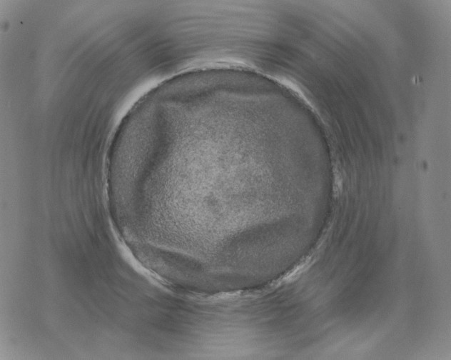 X0000076061038200610152157