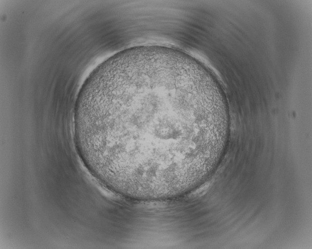 X0000076061040200610152157