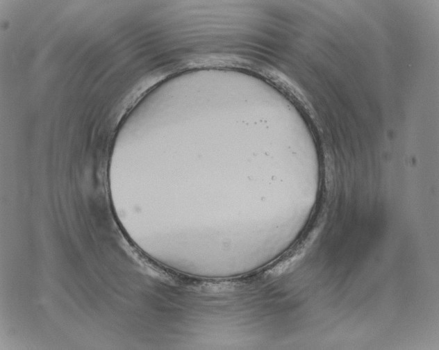 X0000076061041200610152157