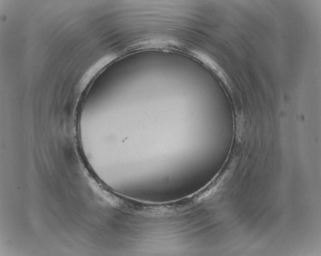 X0000076061042200610152157