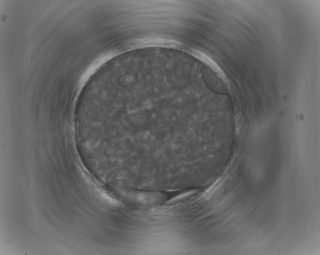 X0000076061043200610152157