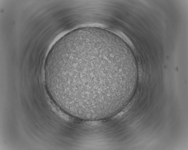 X0000076061044200610152157