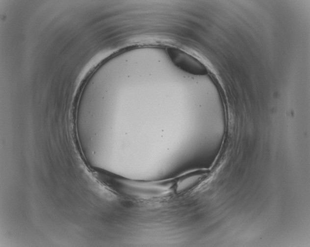 X0000076061045200610152157