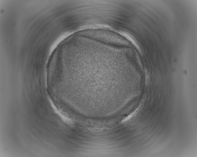 X0000076061046200610152157