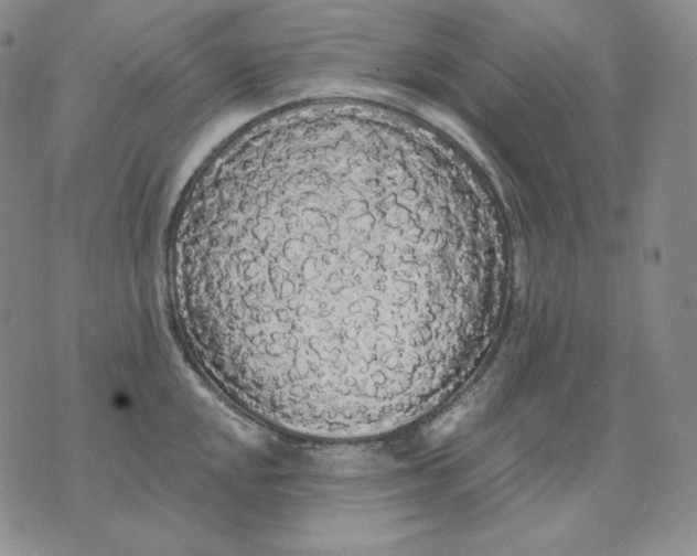 X0000076061048200610152157