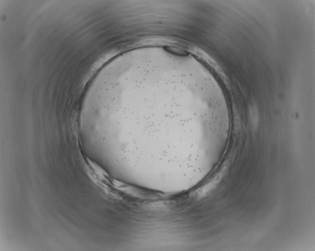 X0000076061049200610152157