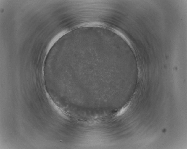 X0000076061050200610152157