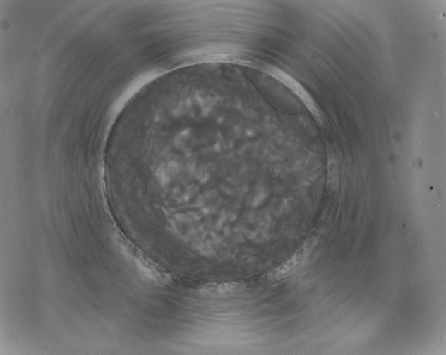 X0000076061051200610152157