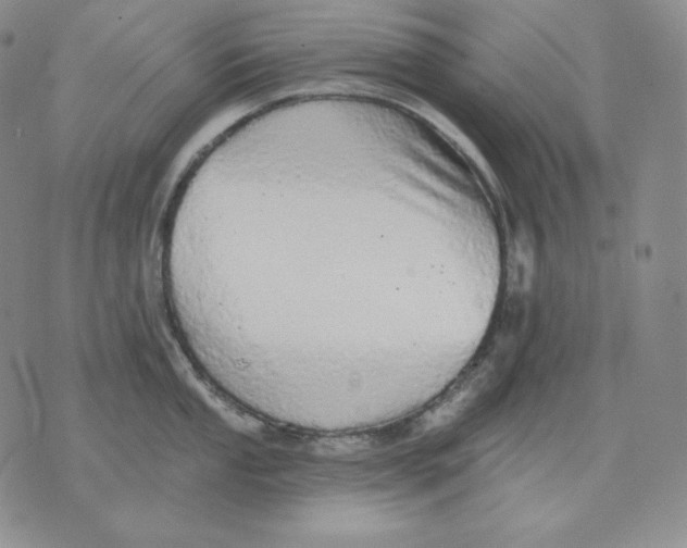 X0000076061053200610152158