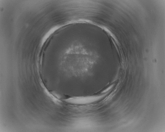 X0000076061054200610152158